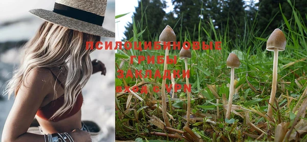 mdma Рославль