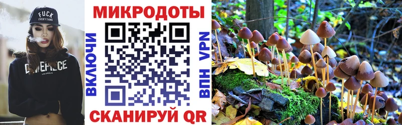omg ссылка  Мещовск  Псилоцибиновые грибы мухоморы 